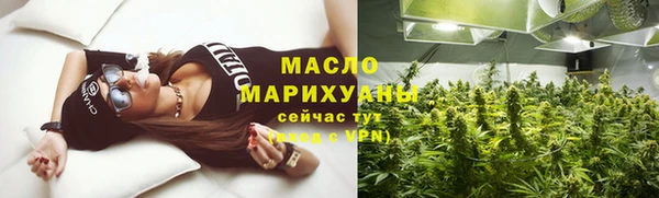 гашик Новозыбков