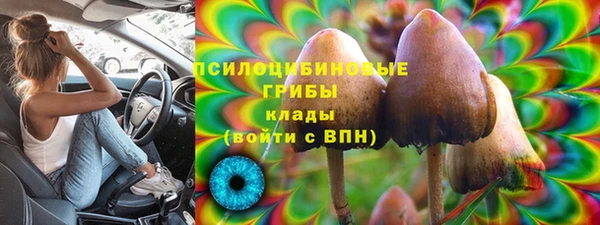 МДПВ Абаза